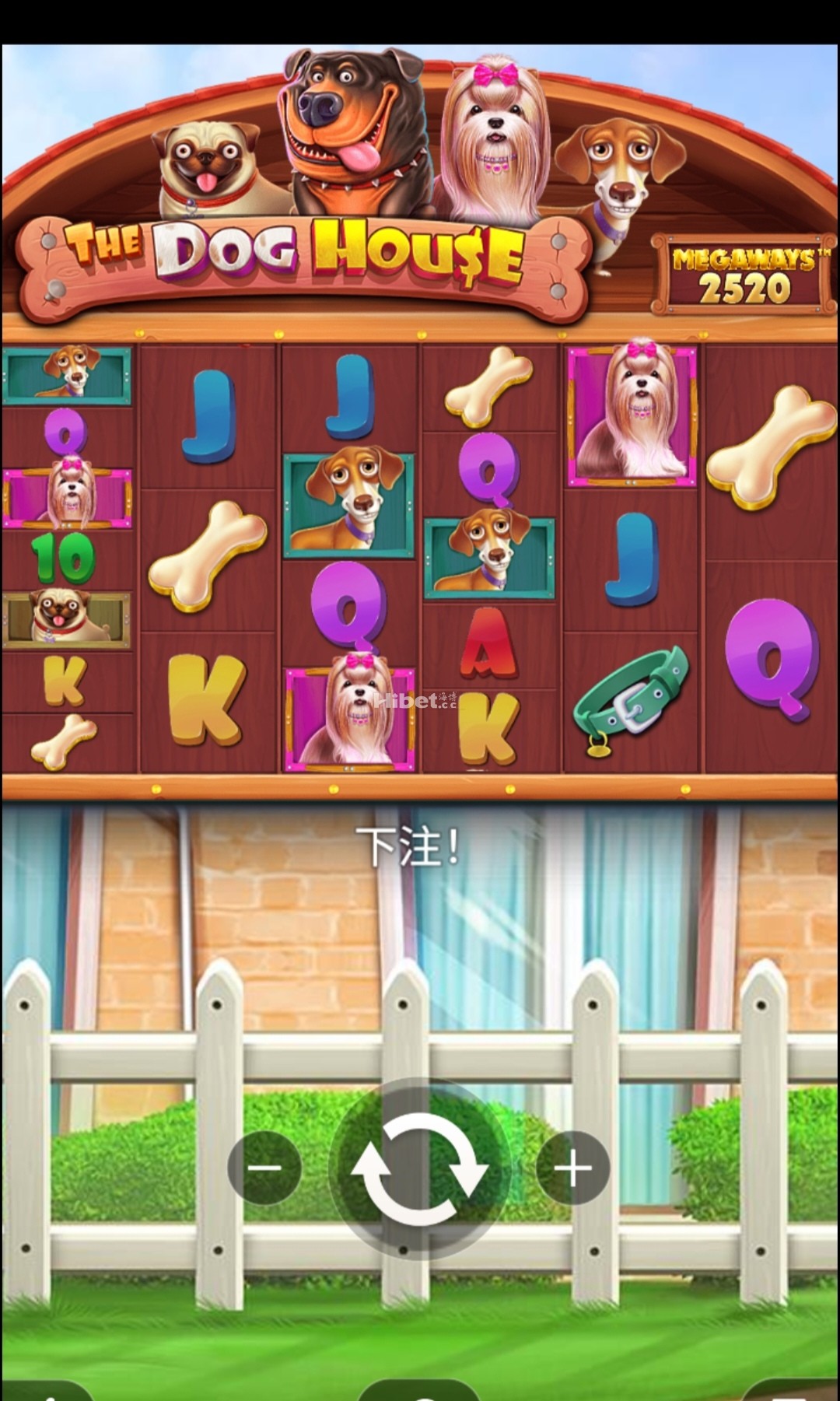 162551ha66gj8ko22j02ya.jpg