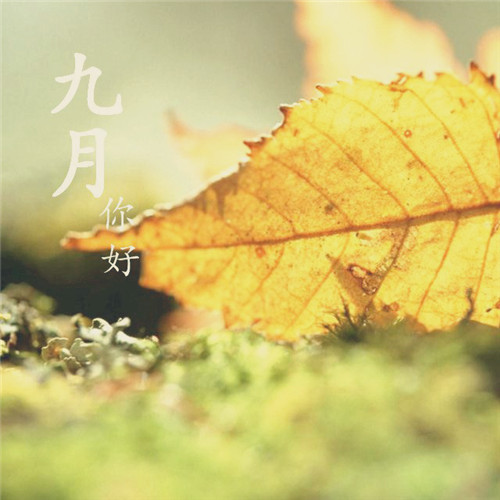 092920pw5yko8uycuulbyq.jpg