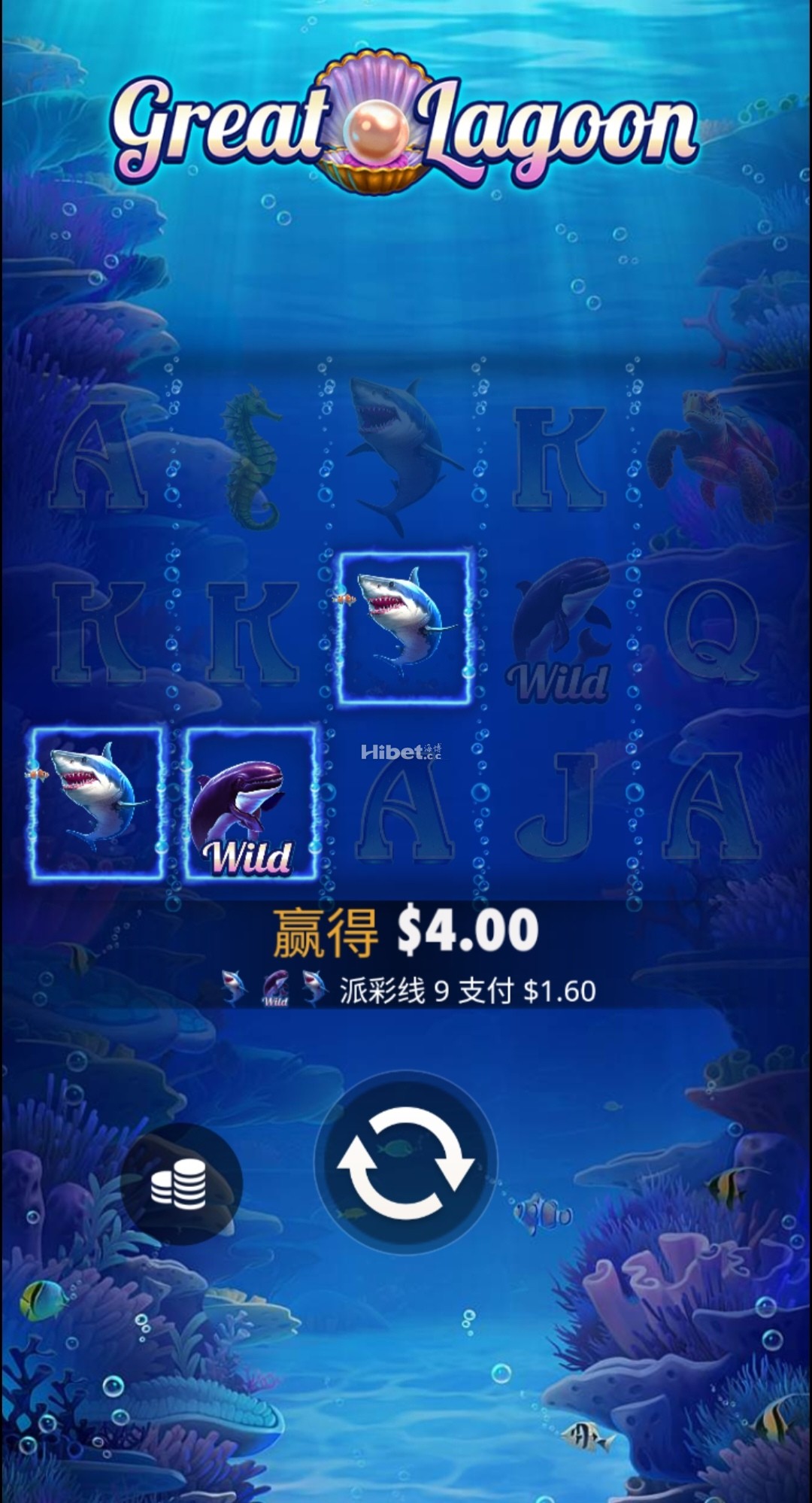 230304yq1sqr16mycy2trq.jpg