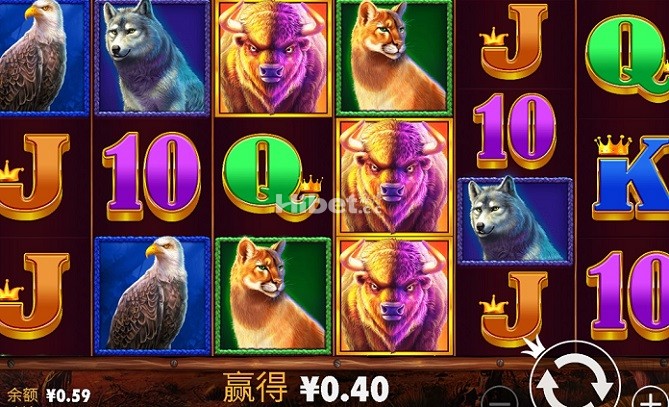 170803lvi74vvwwsi6kioi.jpg