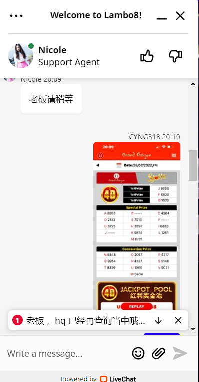 203820gvlo8gvs33nen9zo.png