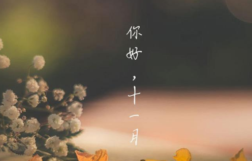 075205zpxsupfgsul6voun.png