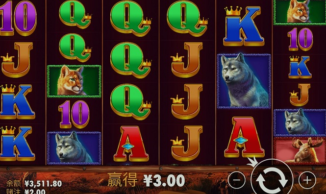 3.jpg