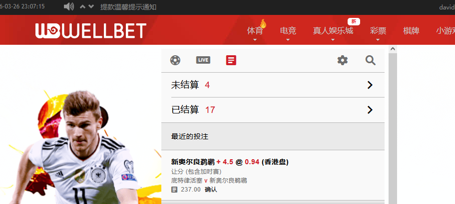 吉祥坊鹈鹕.png
